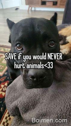 pinterest image size
