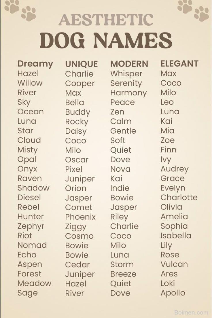 aesthetic dog names