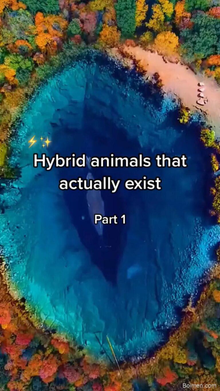 did you know that facts