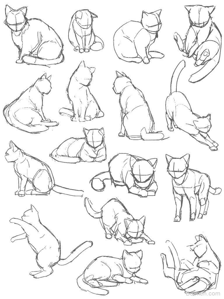 pinterest image size