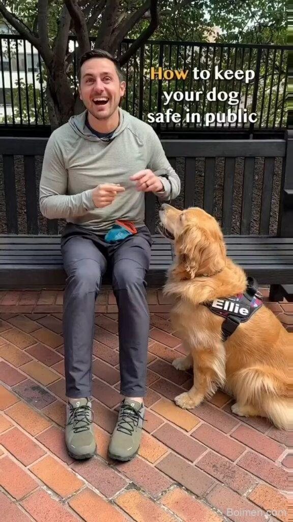 dog training tips