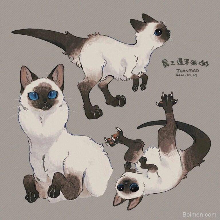 pinterest image size