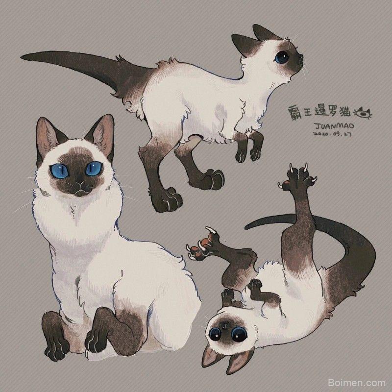 pinterest image size