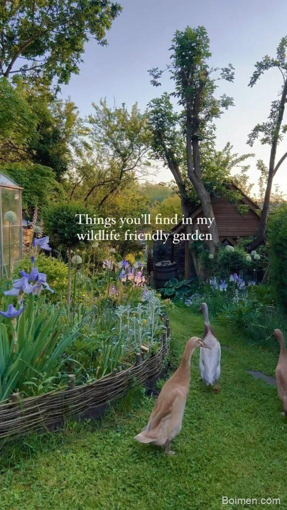 cottage garden design