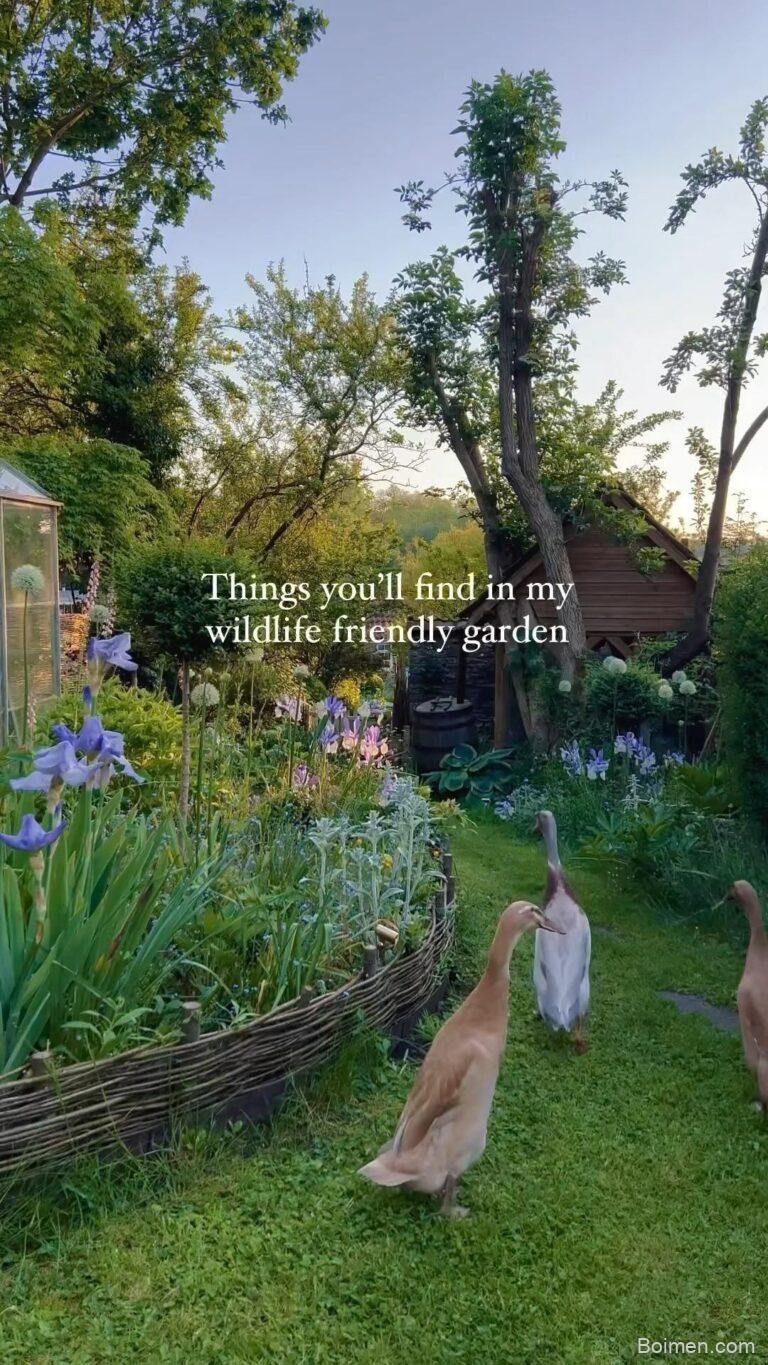 cottage garden design