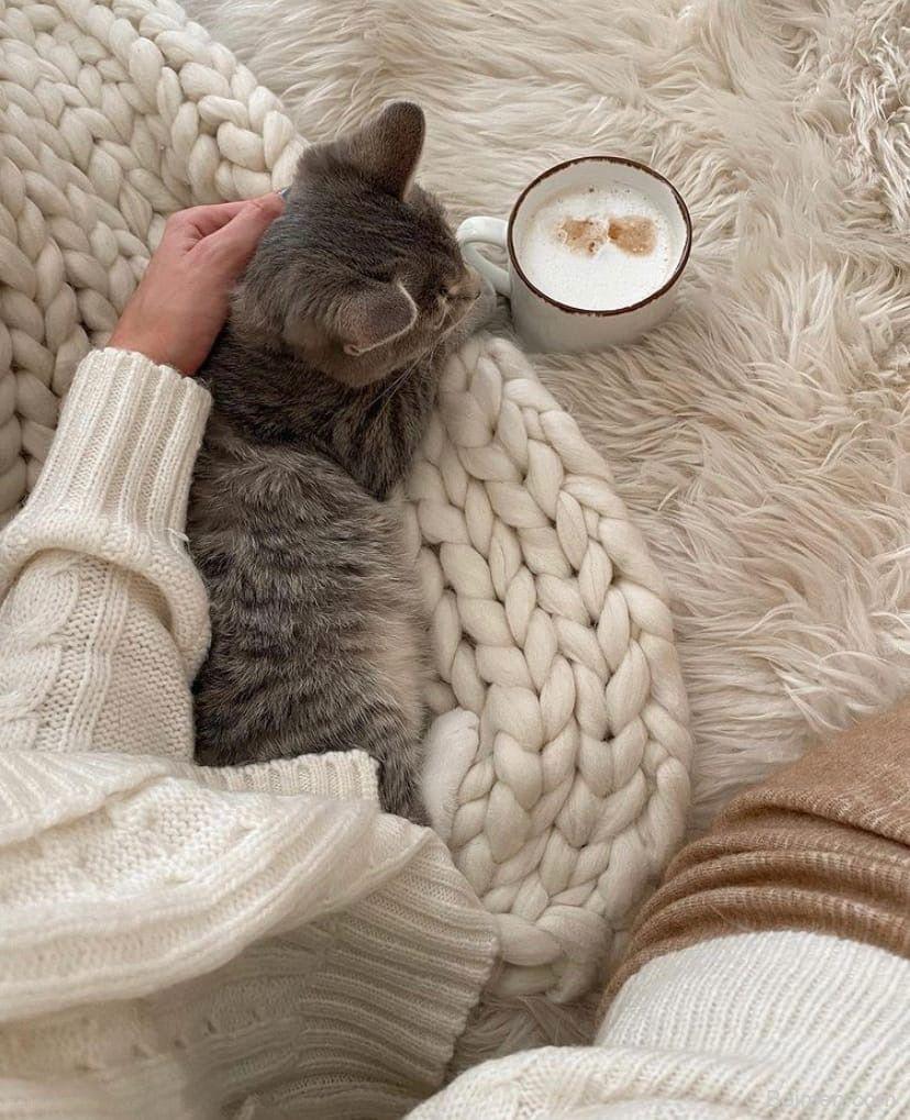 pinterest image size