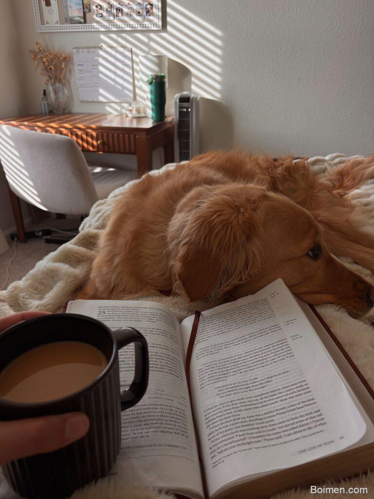 morning routine tips