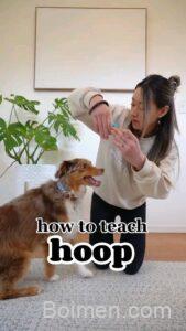 how to teach your dog the hoop