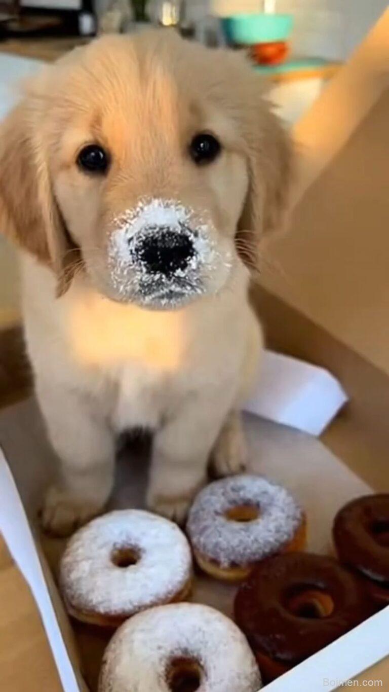 oh my god my love ❤️