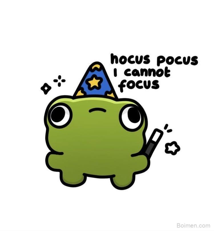 focus websites