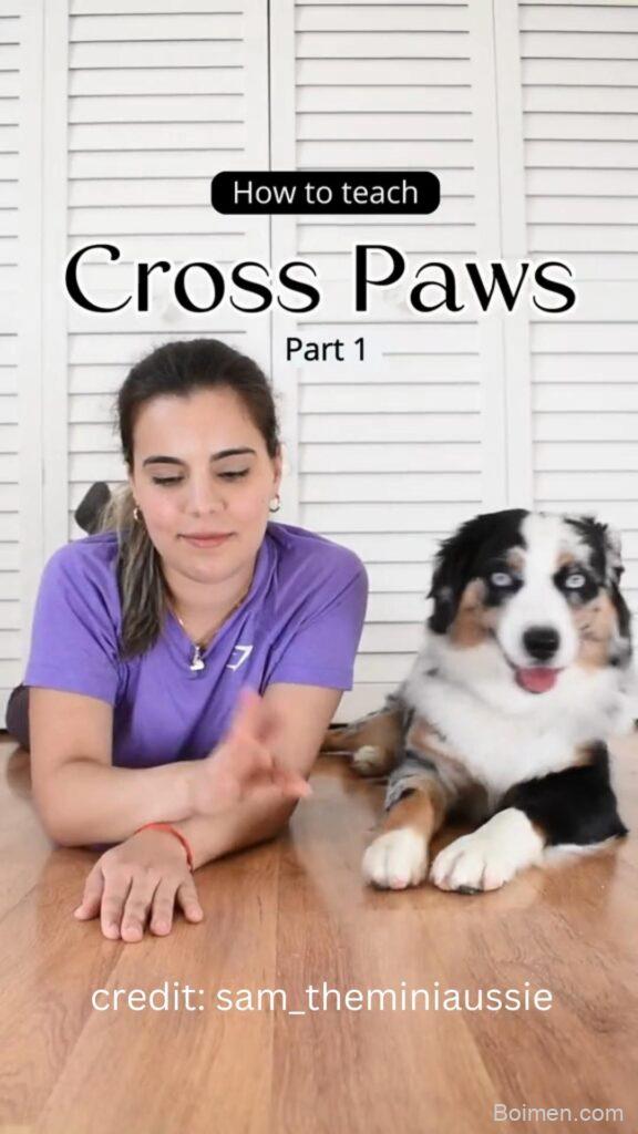 easy dog tricks to teach