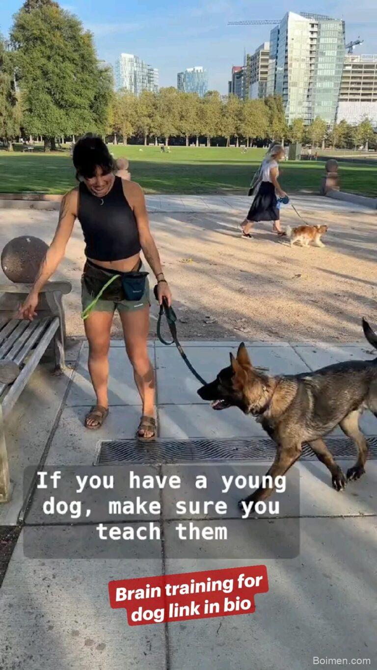 dog training tips