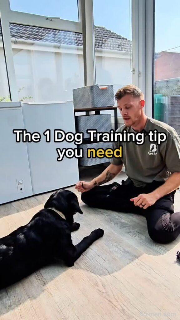 dog training tip