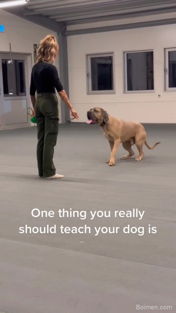 dog training techniques
