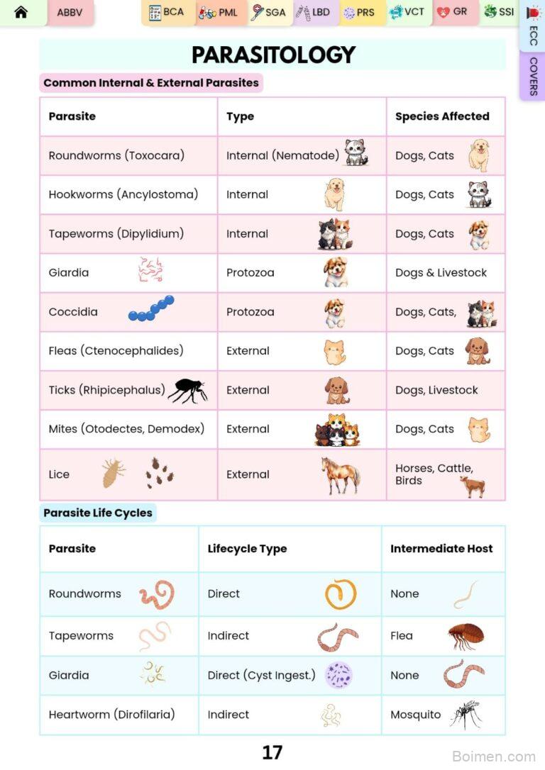 veterinary tech cheat sheet