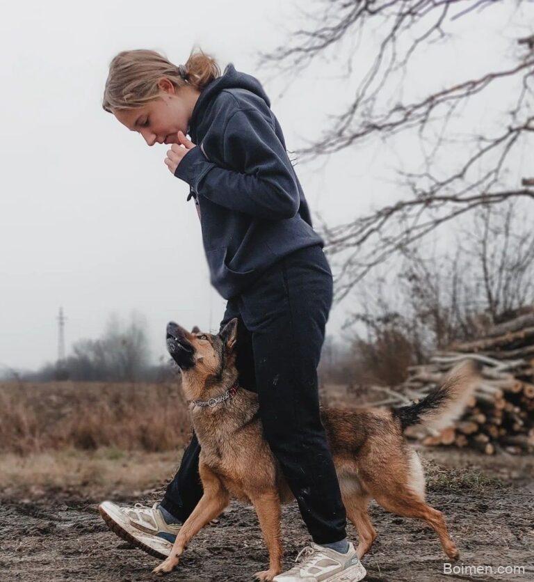 free dog training videos