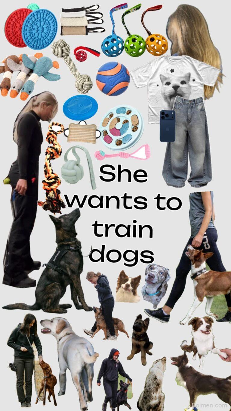 how to train dogs at home