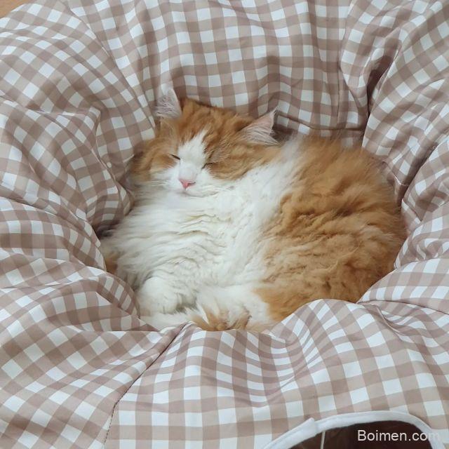 pinterest image size