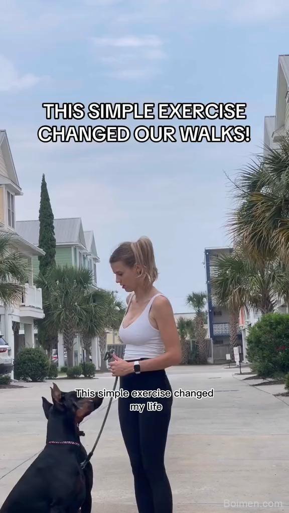 dog training techniques
